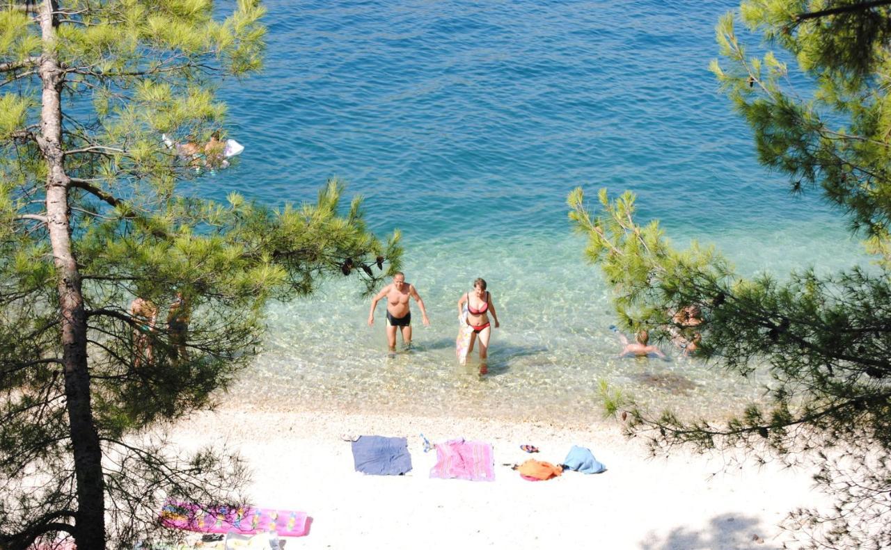 Summer Residence Near The Sea Donji Okrug  Εξωτερικό φωτογραφία